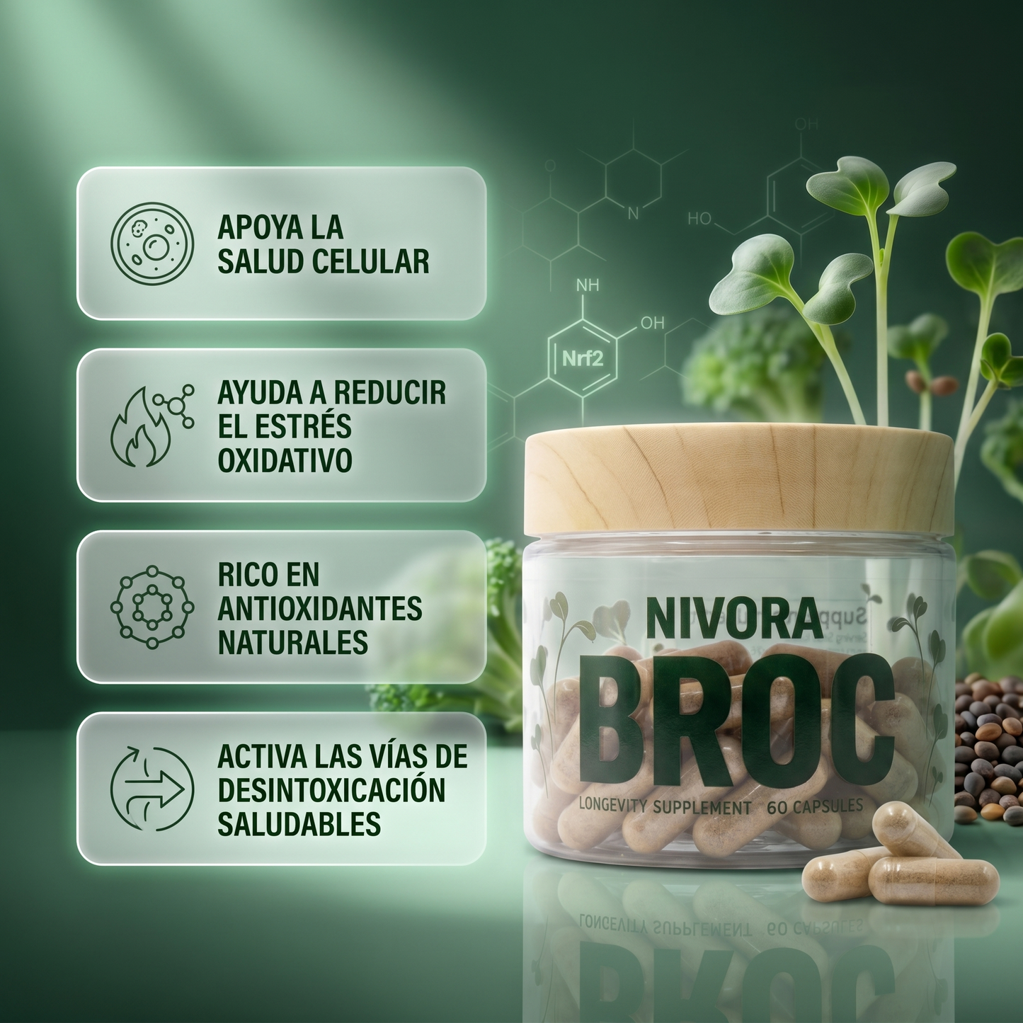 BROC Sulforafano de Alta Densidad