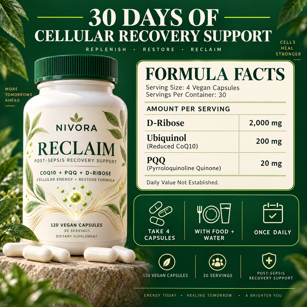 Reclaim® Post Sepsis Recovery Support