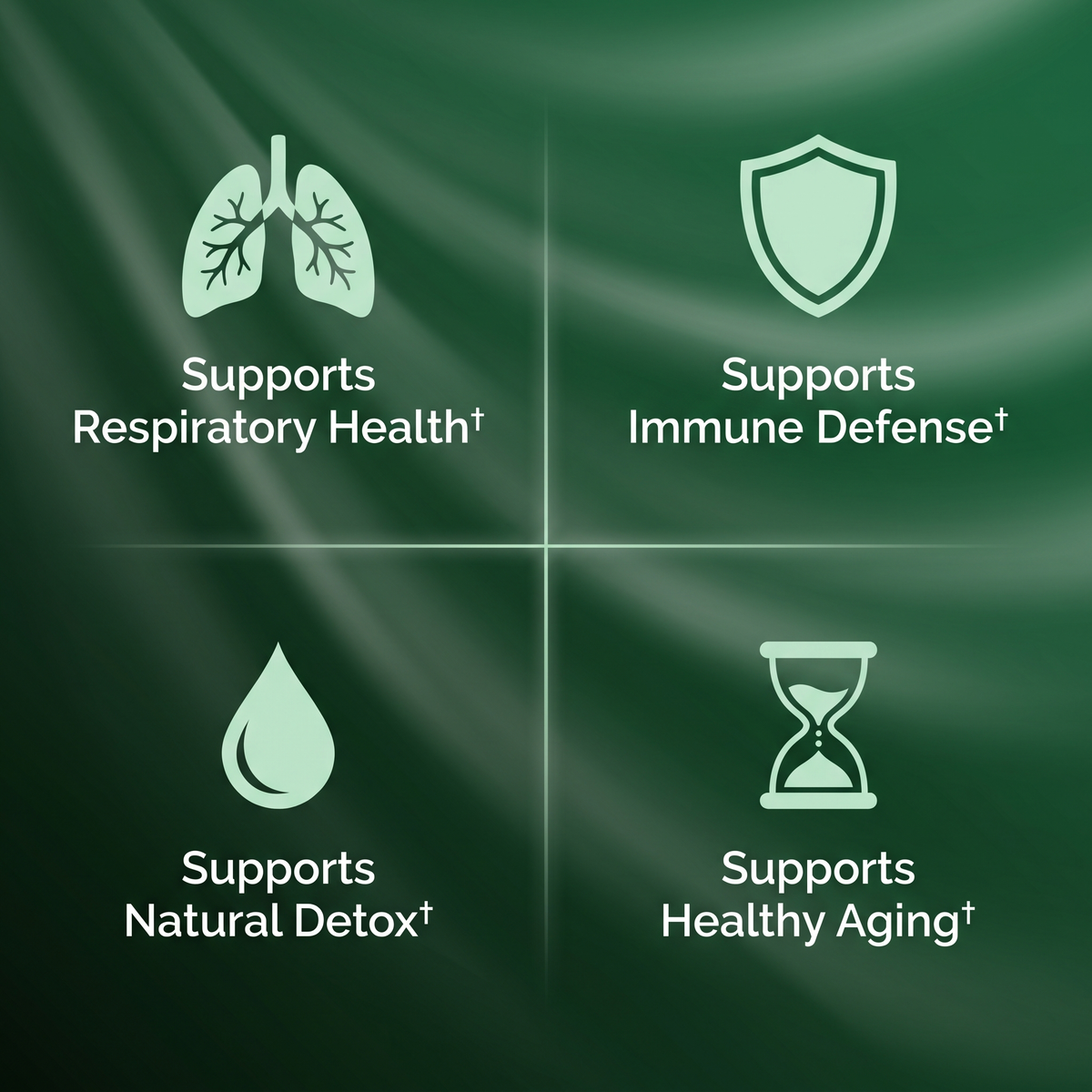 Nivora® Haritaki Superfruit Capsules