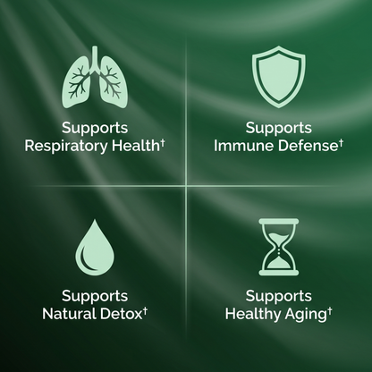 Nivora® Haritaki Superfruit Capsules